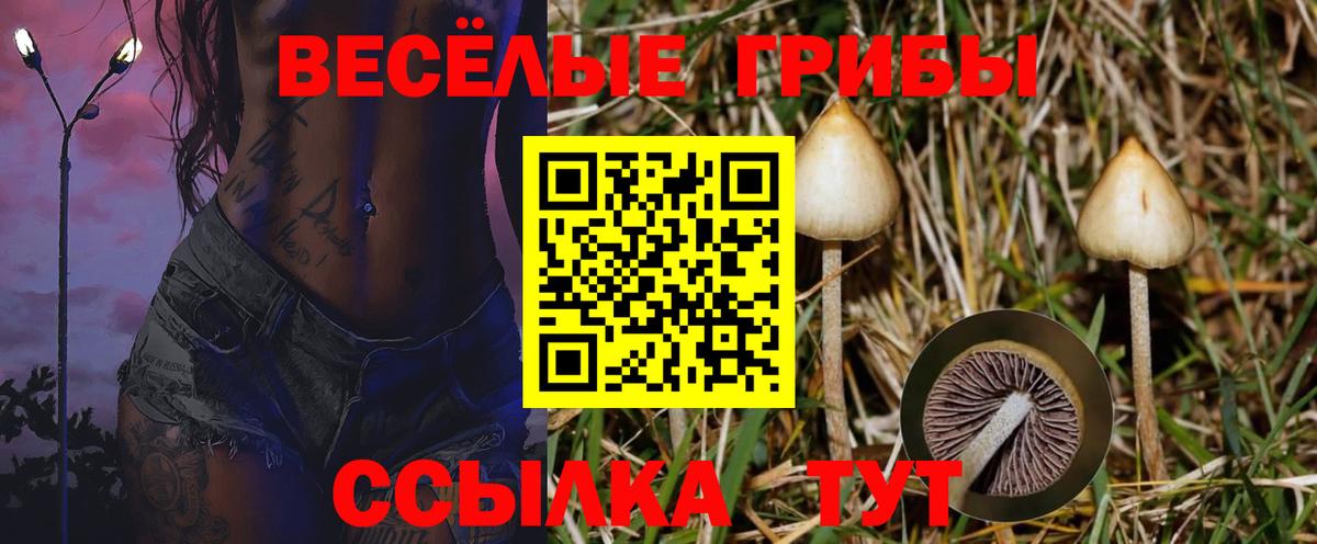 Галлюциногенные грибы MAGIC MUSHROOMS Майкоп
