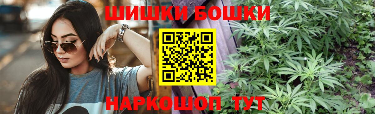 Майкоп  Канабис планчик  Канабис сатива  Вход с VPN  Бошки марихуана семена 